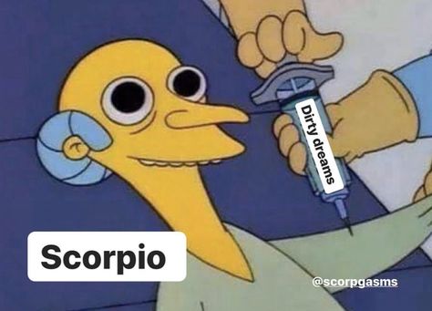 Funny Scorpio Quotes, Scorpio Meme, Zodiac Mind Scorpio, Scorpio Funny, Zodiac Quotes Scorpio, Astrology Scorpio, Aries Baby, Zodiac Signs Chart, Scorpio Love