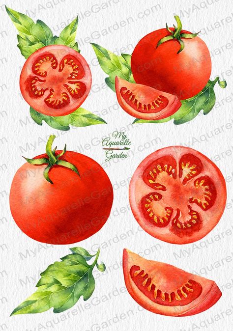 Tomato Illustration, Sliced Tomatoes, Illustrations Digital, Leaves And Branches, Wooden Planter Boxes, Wooden Planter, Background Clipart, Juicy Tomatoes, Botanical Illustrations