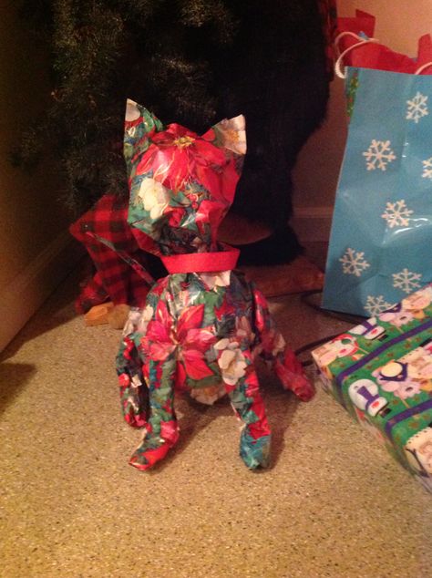 Gift wrapping shaped like a cat. Xmas Gift Wrap, Creative Wrapping, Weird Gifts, Making Stuff, Like A Cat, Wrapping Ideas, Holiday Projects, Xmas Gifts, Gift Wrap