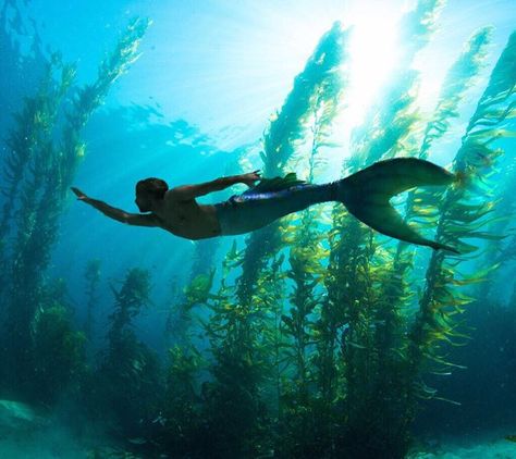 Merman Chris on Instagram: “🌊Swimming makes me feel free🌊 . . 📸: Bae . . tail: @mertailor . . #merman #mermaid #meermann #meerjungfrau #water #ocean #sunset #sea…” Mermaid Boy, Real Mermaid, Male Mermaid, Real Life Mermaids, Realistic Mermaid, Mermaid Photography, Silicone Mermaid Tails, Mermaid Man, H2o Mermaids