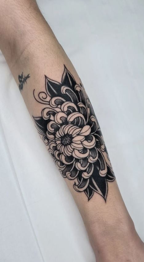 American Traditional Chrysanthemum, Traditional Chrysanthemum Tattoo, Black Chrysanthemum Tattoo, Flower Traditional Tattoo, Chrysanthemum Tattoos, Crisantemo Tattoo, Chrysanthemum Flower Tattoo, Lisa Tattoo, Trad Tattoos