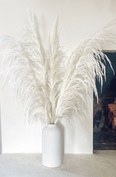 White Pampas, Color Representation, Grass Wedding, Decorations Wedding, Dried Flower Arrangements, Vase Set, Pampas Grass, Dried Flower, Soft White