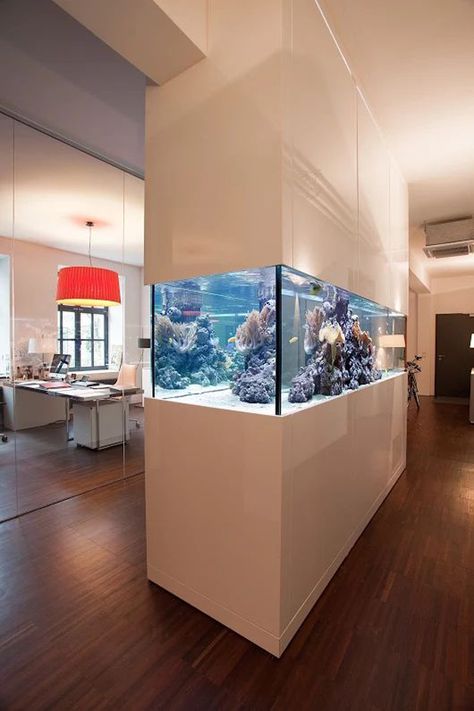 22 Spectacular Room Dividers With Modern Aquarium | Home Design And Interior Aquarium Wall, Fish Tank Wall, Aquarium Architecture, Wall Aquarium, Amazing Aquariums, Fish Tank Design, Reef Tanks, Aquarium Stand, Divider Design