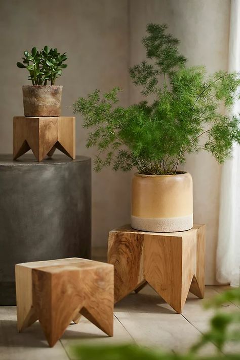 New Arrivals | Terrain Plant Troughs, Indoor Cactus, Modern Plant Stand, Organic Ceramics, Wood Plant Stand, Plant Table, Plant Stand Indoor, Room With Plants, Creative Living