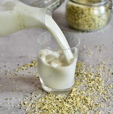 Hemp Milk Benefits, Hemp Milk Recipes, Hemp Seed Milk, Cold Drinks Recipes, Milk Benefits, Hemp Milk, Homemade Vanilla Extract, Nut Milk Bag, Vegan Milk