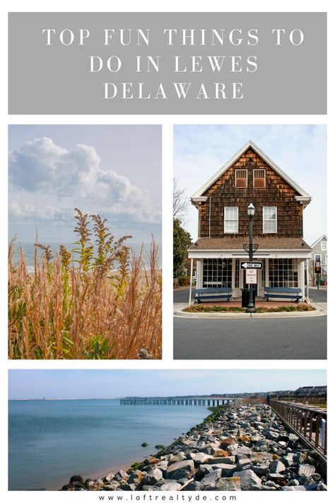 Delaware Aesthetic, Dewey Beach Delaware, Things To Do In Delaware, Travel Agent Career, Bethany Beach Delaware, East Coast Vacation, Dover Delaware, Lewes Delaware, Rehoboth Beach Delaware