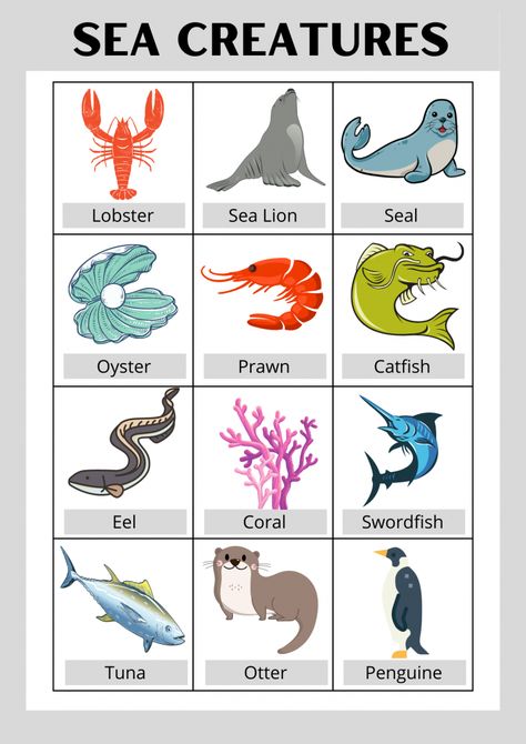 Sea animals, sea creatures, sea animals flash cards, water animals, water creatures, type of fishes, sea animals for preschool, sea animals toddlers Fish Structure, Water Activities, Flash Cards, Sea Animals, Kids Activities, Animals For Kids, We Need, To Learn, Activities For Kids