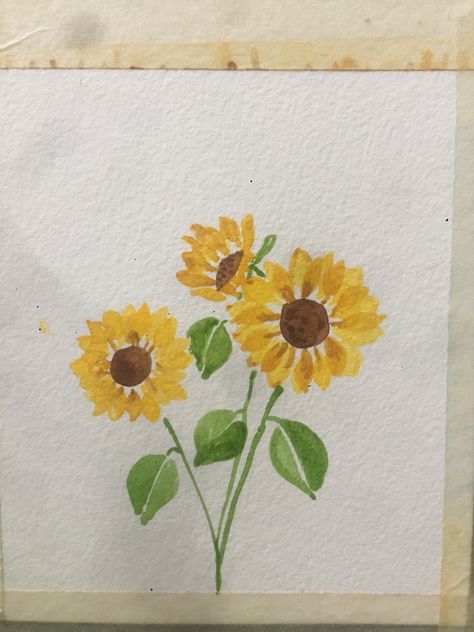 Bright and Cheery Watercolor Sunflowers Water Colour Sunflowers, Sunflower Painting Ideas Easy, Easy Watercolor Sunflower, Sunflowers Painting Easy, Sunflower Painting Simple, Watercolor Art Sunflower, Sunflower Easy Painting, Paint Sunflowers Easy, Sunflower Drawing Watercolor