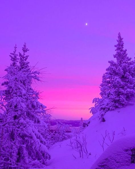 Light Spring Colors, Vaporwave Art, Aesthetic Content, Winter Sunset, Purple Christmas, Vaporwave Aesthetic, Neon Aesthetic, Purple Walls, Winter Scenery