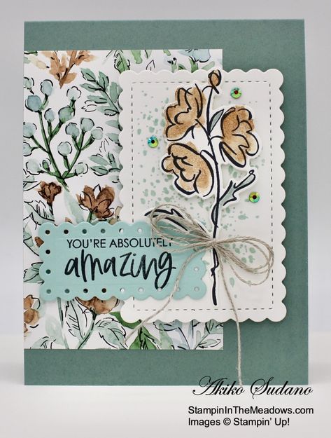 Stampin’ Up! Color and Contour You are Amazing Card – Stampin' in the Meadows Stampin Up Color And Contour, Color Contour, Cards Birthday, Encouragement Cards, Stamping Up Cards, The Meadows, You Are Amazing, Card Sketches, Card Layout