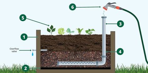 How to make your own wicking beds - Gardening with Pope Wicking Beds How To Make, Watering Raised Garden Beds, Wicking Garden Bed, Growing Vegetables In Pots, Beds Diy, Vegetable Garden Planning, Hot House, Raised Garden Beds Diy, Garden Whimsy