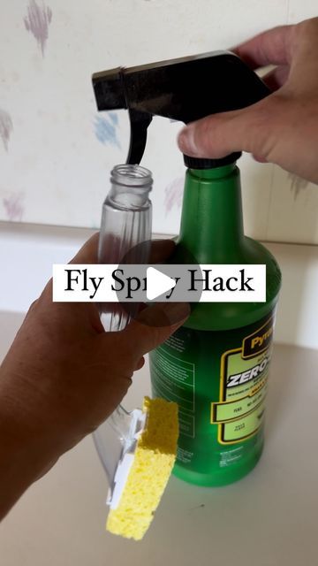 R.A.E. Designer Tack on Instagram: "Handy little hack for applying fly spray to your horse’s face! 

•
•
•
•
•

#horseowner #horsemanship #horsecare #horsegirlsummer" Fly Spray For Horses, Horse Hacks, Smash Mouth, Fly Spray, Horse Ideas, Horse Owner, Horse Care, R A, Summer Girls