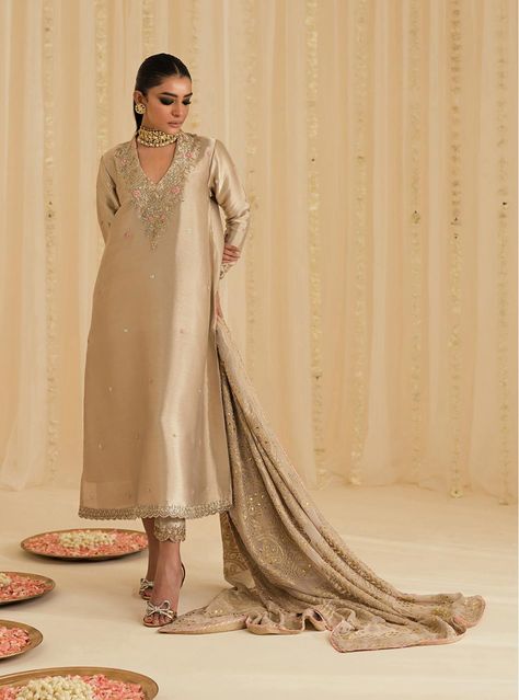 Rosé Georgette Tunics, Gorgeous Lady, Stylish Lady, Organza Shirt, Velvet Shawl, Loose Tunic, Pakistani Dresses Casual, Salwar Kamiz, Casual Party Dresses