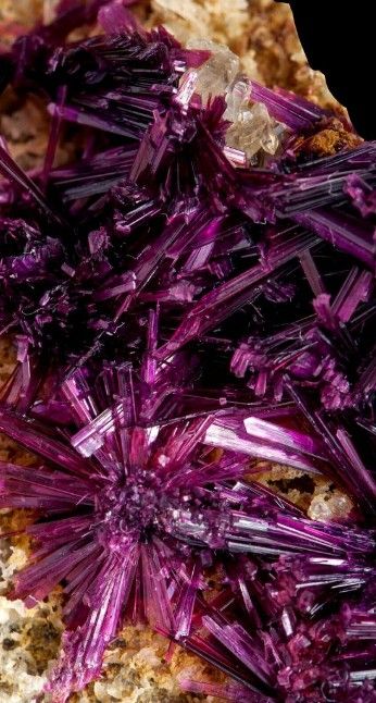 Erythrite with Phlogopite - a stunning combination! 💜✨ #Erythrite #Phlogopite #MineralBeauty Crystal Cabinets, Minerals Crystals Stones, Rocks Crystals, Crystal Colors, Pretty Rocks, April 7, April 13, Minerals And Gemstones, Rocks And Gems