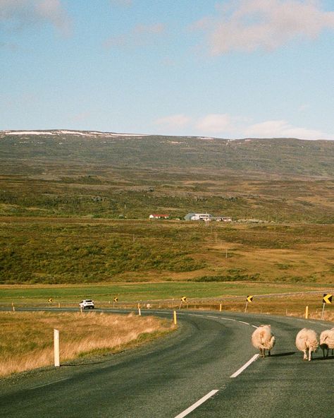 Rich blue hues, gentle streams, and you. Postcards from Iceland on 35mm film - by yours truly #icelandelopement #icelandelopementphotographer #icelandroadtrip #icelandonfilm #filmphotographer Iceland On Film, 35 Mm Film Photography, Iceland Aesthetic, Iceland Road Trip, Aesthetic Film, Film Photographers, Documentary Photography, 35mm Film, On Film