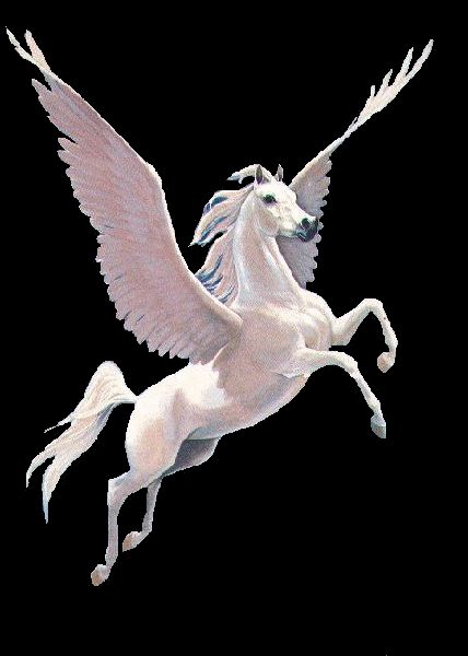 Pegasus                                                       … Horse With Wings, Horse Wallpapers, Pegasus Tattoo, Pegasus Art, Pegasus Unicorn, Magical Horses, Wallpapers Pictures, Unicorn Pictures, Fantasy Horses