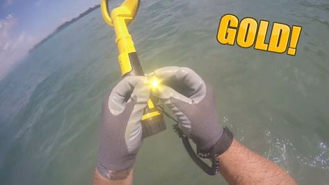 We Went Out Metal Detecting Underwater in the ocean and found loads of epic coins and even gold! Using the nokta makro pulsedive metal detector Metal Detecting, Metal Detector, In The Ocean, The Ocean, Live Lokai Bracelet, Gold Ring, Ring, Gold