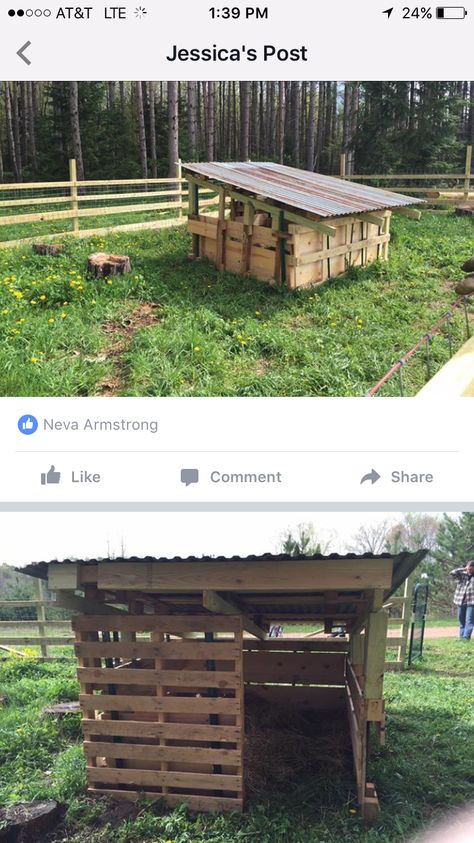 Pallet pig shelter Pallet Pig House, Pallet Pig Shelter, Pig Shelter Ideas, Pallet Pig Pen, Pig Pen Ideas Shelters, Pig Shelter Diy, Pallet Goat Shelter, Pig Pen Ideas, Pallet Shelter