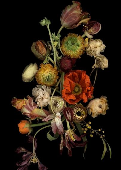 Stockage Pretty Forest, Flowers And Mushrooms, Photography Flowers, Spring Projects, Experimental Photography, 22 December, Photographie Inspo, Forest Flowers, Floral Photography