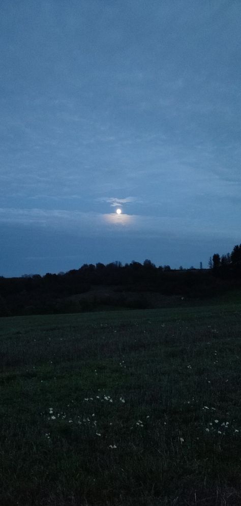 Flower Fields At Night, Flower Field Night, Moon Flower Aesthetic, Flower Field At Night, Toad Aesthetic, Lia Core, Dark Widgets, Field At Night, Landscape References