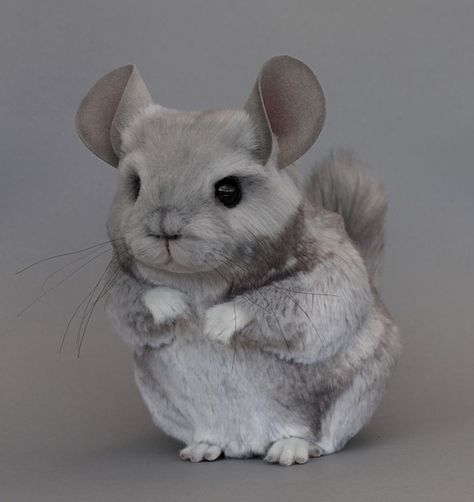 Wow.  First stuffed chinnie I've seen that looks realistic. by Lisa Page Fluffy Toys, Chinchilla Cute, Chinchilla Toys, Realistic Stuffed Animals, Chinchillas, Cute Friends, Baby Toddler Toys, Guinea Pigs, Funny Cute