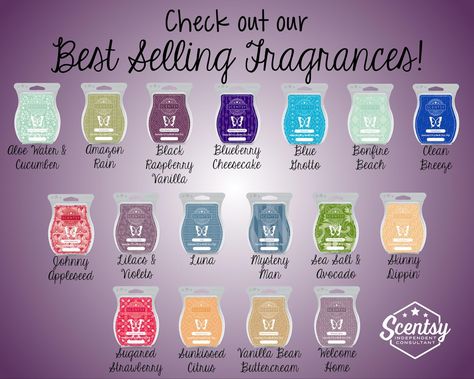 Here are the best sellers.  This is what most customers buy. Fragrance Families, Scentsy Marketing, Scentsy Candles, Selling Scentsy, Scentsy Consultant Ideas, Scent Bars, Scented Wax Warmer, Scentsy Business, Scentsy Party