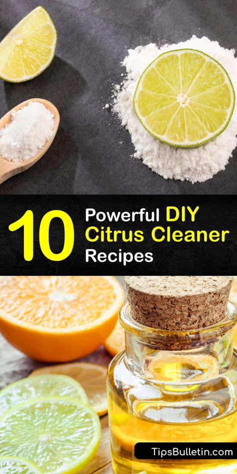 Start to live a cleaner life with this list of homemade citrus all-purpose cleaners. Made from grapefruit, lemon, and orange, these homemade cleaners make the best DIY citrus cleaner on the market and are perfect for kitchen countertops, bathrooms, and more. #homemade #citrus #cleaner Orange Cleaner, Citrus Cleaner, Homesteading Tips, Diy Household Cleaners, Homemade Cleaning Supplies, Homemade Cleaners, Lime Peel, Diy Cleaning Solution, Cleaner Recipes