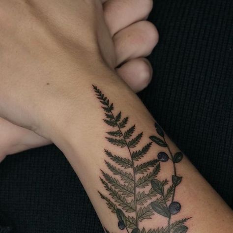 Sasha Vorobiova⋅tattoo artist on Instagram: "fern & blueberry 🤎  #botanicaltattooartist #fern #ferntattoo #ferntattoos #blueberry #blueberrytattoo #berrytattoo #ferns #fernstattoo" Snake Fern Tattoo, Fern Tattoo, Botanical Tattoo, Tattoo Idea, Artist On Instagram, May 21, Tattoo Artist, Fern, Tattoo Artists