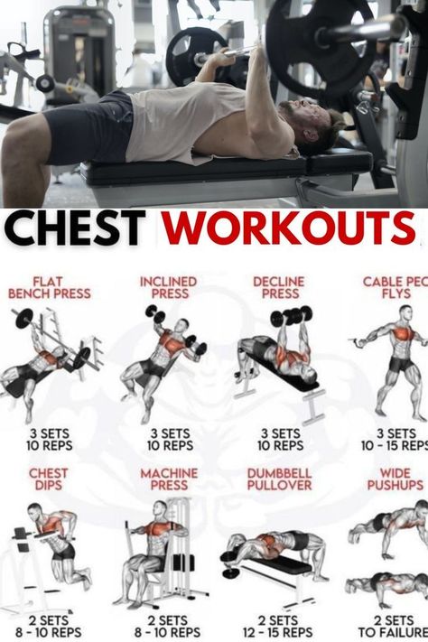 Full Chest Workout, Chest Workout At Home, Chest Workout For Men, Chest Workout Routine, Workout Exercises, Abs And Cardio Workout, Chest Workouts, Fitness Experts, Chest Workout