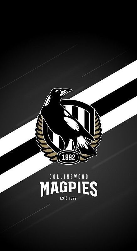 Collingwood Wallpaper, Arizona Cardinals Wallpaper, Afl Collingwood, Cardinals Wallpaper, Newcastle Football, Collingwood Magpies, Collingwood Football Club, Montreal Alouettes, Australian Football League