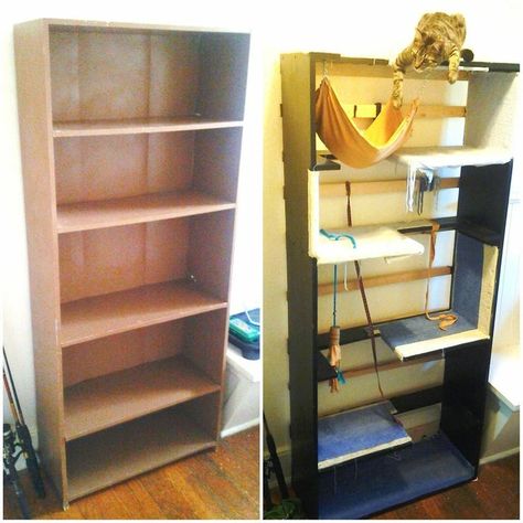 Bookcase Cat Tower : 4 Steps - Instructables Puppy Planning, Homemade Cat Treats, Cat Place, Diy Cat Tower, Katt Diy, Katt Grejer, 300 Dollars, Diy Cat Tree, Cat Cage