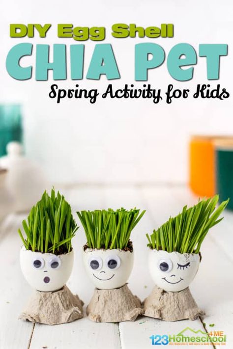 Diy Egg Crafts, Egg Crafts For Preschoolers, Diy Egg Shell Crafts, Egg Shell Crafts For Kids, Craft With Egg Shells, Egg Project For School, June Crafts For Kids, Diy Chia Pet How To Make, Homemade Chia Pets