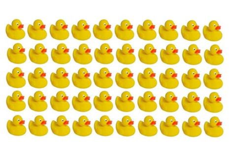 You can get a pack of 50 rubber ducks on Amazon for about $20. Pick one friend or family member and start hiding the ducks everywhere that person might find them: cupboards, drawers, desks, car gloveboxes, the sky's the limit! Duck Baby Shower Theme, Washcloth Lollipops, Women Chef, Ducky Baby Showers, Ducky Baby Shower, April Fools Pranks, Baby Shower Duck, Duck Gifts, Baby Bath Toys