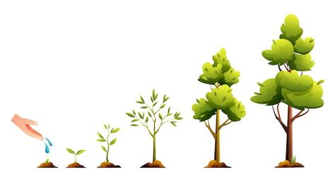 Growing Illustration, Tree Life Cycle, Plant Cartoon, Tree Growth, Plants Growing, Plant Life Cycle, Vector Trees, Growth And Development, Tree Illustration