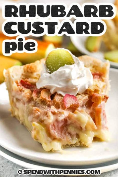 When it comes to homemade desserts, nothing beats rhubarb custard pie. Chunks of frozen or fresh rhubarb are baked with a sweet and creamy homemade custard in a flaky pie crust. Serve chilled with whipped cream, or a baked meringue topping. Flavor variations include additions of strawberry or apple and a graham cracker pie shell. #rhubarbcustardpie #rhubarbcustardpierecipe #rhubarbpie #spendwithpennies Easy Rhubarb Recipes, Rhubarb Custard Pie, Custard Pies, Best Rhubarb Recipes, Rhubarb Custard Pies, Rhubarb Recipes Pie, Fresh Rhubarb, Custard Pie Recipe, Rhubarb Custard