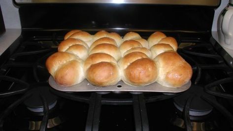 Just Like Lambert's throwed Rolls - Copycat Recipe - Food.com Christmas Dinners, Biscuit Bread, Baked Rolls, Yeast Rolls, Copycat Restaurant Recipes, Famous Recipe, Quick Breads, Cat Recipes, Copycat Recipe