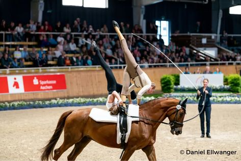 Vaulting Horse, Vaulting Horses, Equestrian Vaulting, Mystic Girl, Vaulting Equestrian, Running Business, Horse Vaulting, Mystic Girls, Trick Riding