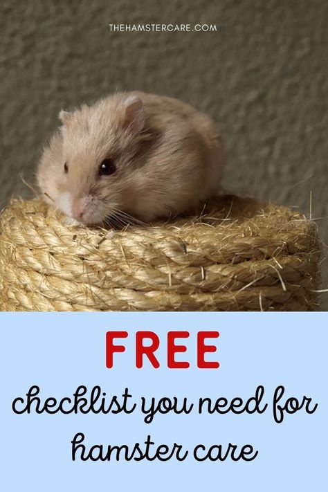 Pet Checklist, Pet Health Record, Hamster Pet, Hamster Care, Free Checklist, Pet Pigs, Horse Health, Pet Care Tips, Animal Care