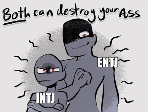 Entj Relationships, Intj Characters, Scorpio Personality, My Moon Sign, Intj T, Intj And Infj, Intj Intp, Intj Personality, Mbti Relationships