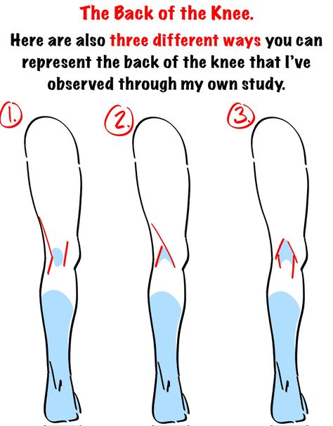 Leg References, Twitter Notes, Human Anatomy Reference, Anatomy Tutorial, Human Anatomy Drawing, Body Drawing Tutorial, Human Anatomy Art, Anatomy Sketches, Body Reference Drawing