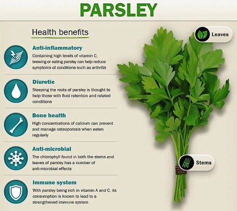 Wash #parsley just before using, it as the leaves are fragile and can be easily damaged! #benefits #health Matcha Maker, Benefits Of Parsley, Parsley Benefits, Medical Herbs, Food Health Benefits, Herbal Healing, Herbs For Health, Healing Food, Natural Health Remedies