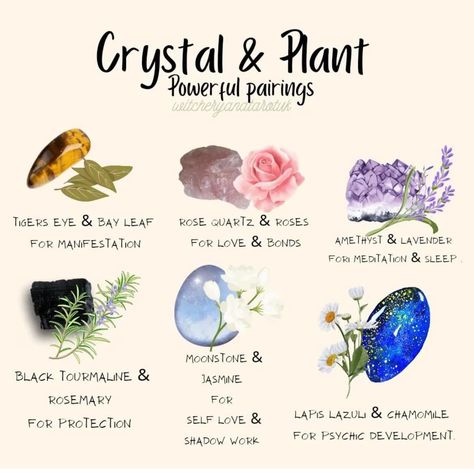 Energy Stones Crystal Healing, Plant Pairings, Crystal Healing Chart, Crystal Tattoo, Green Witchcraft, Witch Stuff, Magic Herbs, Magick Book, Intention Candles