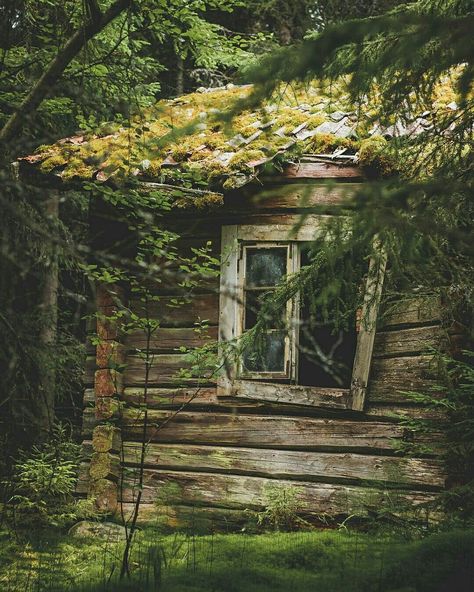 Cabin Aesthetic, Woodland House, Forest Cottage, Forest Cabin, Natural Homes, Old Cottage, Cabin In The Woods, Cabins And Cottages, Cabin Life