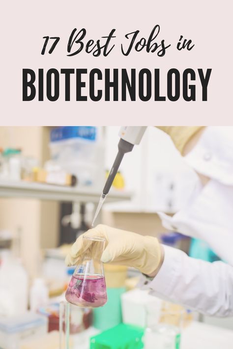 Most people think of biotechnology as a career in the medical field, but that's simply not true. Biotechnology has many applications in all different career fields, from agriculture to law, so here are some of the best jobs in the growing field of biotechnology! Science Jobs Career, Biotech Student Aesthetic, Medical Careers Fields, Medical Biotechnology Aesthetic, Medical Field Jobs, Biomedical Science Aesthetic, Biomedical Engineering Aesthetic, Bio Medical Engineering, Biotechnology Student