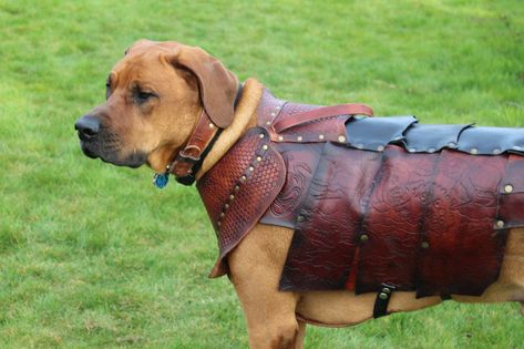 Simple Armor, Cat Armor, Dog Armor, Armor Ideas, Dog Snood, Viking Costume, Dog Fleece, Animal Costumes, Leather Ideas