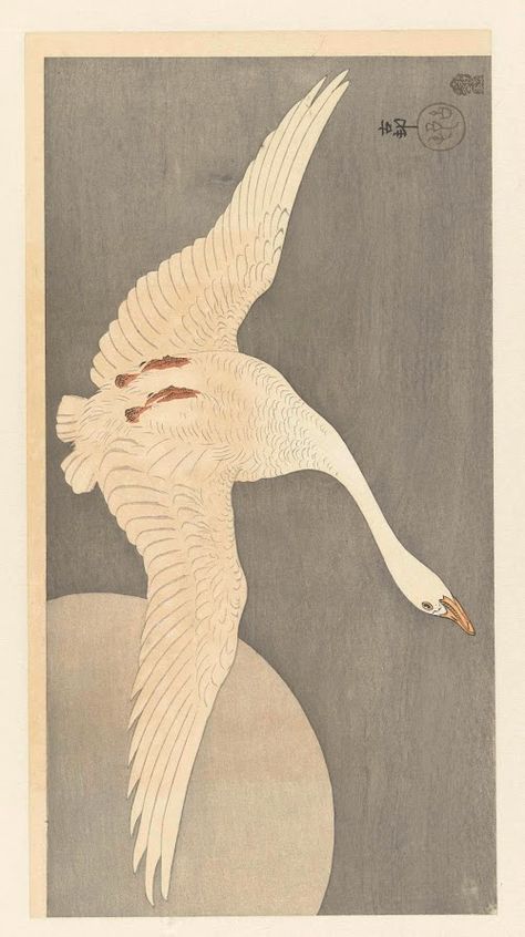 Japanese Flash, Swan Drawing, St Louis Art Museum, Swan Painting, Caw Caw, Japanese Art Modern, Toledo Museum Of Art, Folk Illustration, St Louis Art