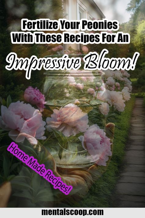 Fertilize Your Peonies With These Recipes For An Impressive Bloom! - Mental Scoop Best Peony Fertilizer, Flowers Similar To Peonies, Peony Fertilizer, Peony Blooming Stages, Azalea Care, Peony Diy, Azaleas Care, Itoh Peony Gardens, Diy Fertilizer