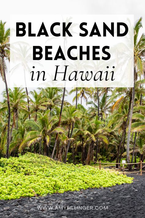 Here are the best black sand beaches in Hawaii. There are black sand beaches on the Big Island, black sand beaches in Maui, and black sand beaches in Kauai. Check out this list of black sand beaches in Hawaii for one of the best things to do in Hawaii #hawaiitraveltips #hawaiiblacksandbeaches #hawaiivacation #blacksandbeach Pahoa Hawaii, Beaches In Hawaii, Best Hawaiian Island, Things To Do In Hawaii, Black Sand Beaches, Hawaii Honeymoon, Black Sand Beach, Hawaii Vacation, Black Sand