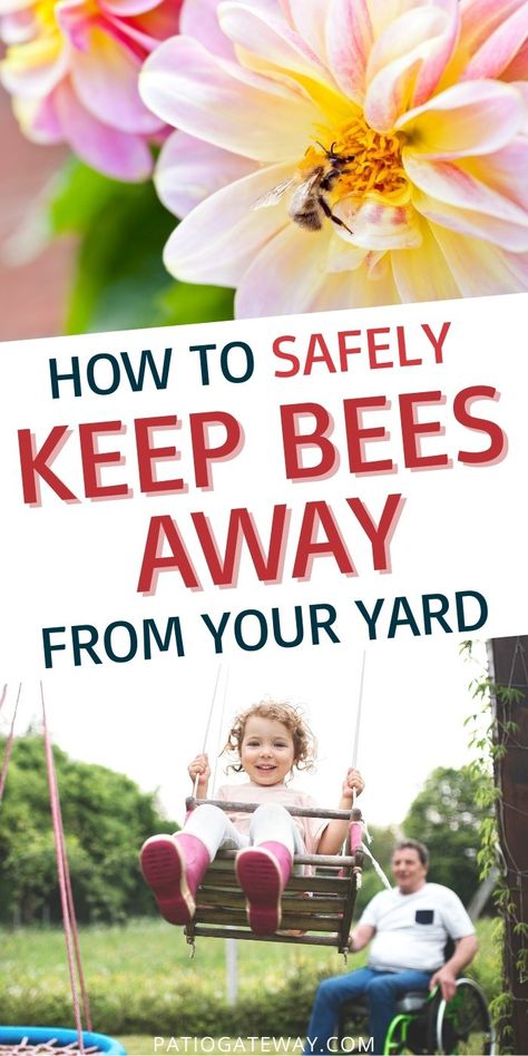 How to Keep Bees Away | Repelling Bees | How to Get Rid of Bees | Bee Repellent | How to Keep Bees Away from Patio | Keeping Bees Away from Deck | Best Nests | Wasp Nets | #bees #wasps #repellent #beecontrol #getridofbees #incests How To Repel Bees And Wasps, How To Repel Bees, Diy Bee Repellent Spray, Plants That Deter Bees And Wasps, How To Deter Bees And Wasps, Bee Repellent Diy, Bee And Wasp Repellent, Wood Bees How To Get Rid Of, Bee Repellent Plants