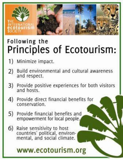 What is Eco-Tourism? There is much debate over whether there really is such a thing as eco-tourism Eco Tourism, Ethical Travel, Tourism Marketing, Responsible Tourism, Tourism Poster, Eco Travel, Cultural Awareness, Green Travel, Sustainable Tourism